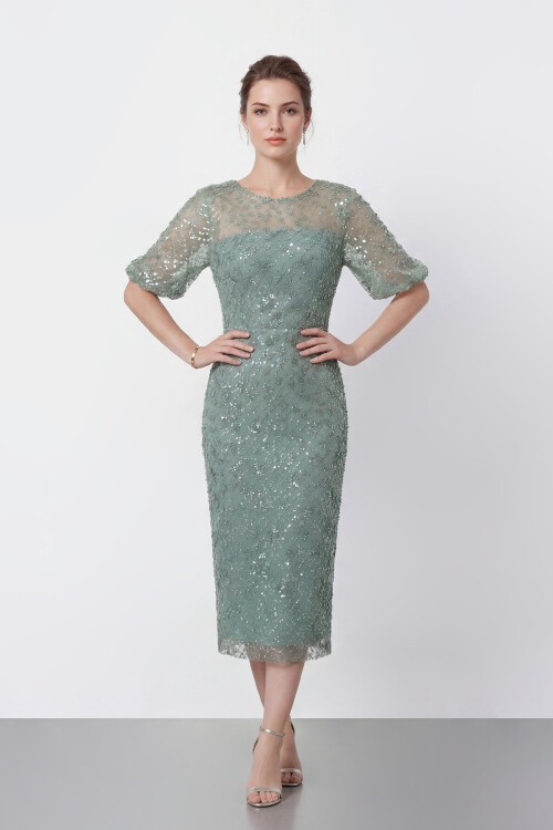 Tamamı İşlemeli Işıltılı Yarım Kol Midi Elbise - 2029