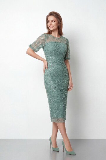 Tamamı İşlemeli Işıltılı Yarım Kol Midi Elbise - 2029