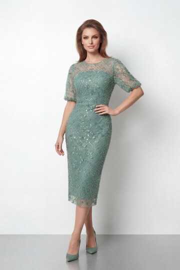 Tamamı İşlemeli Işıltılı Yarım Kol Midi Elbise - 2029